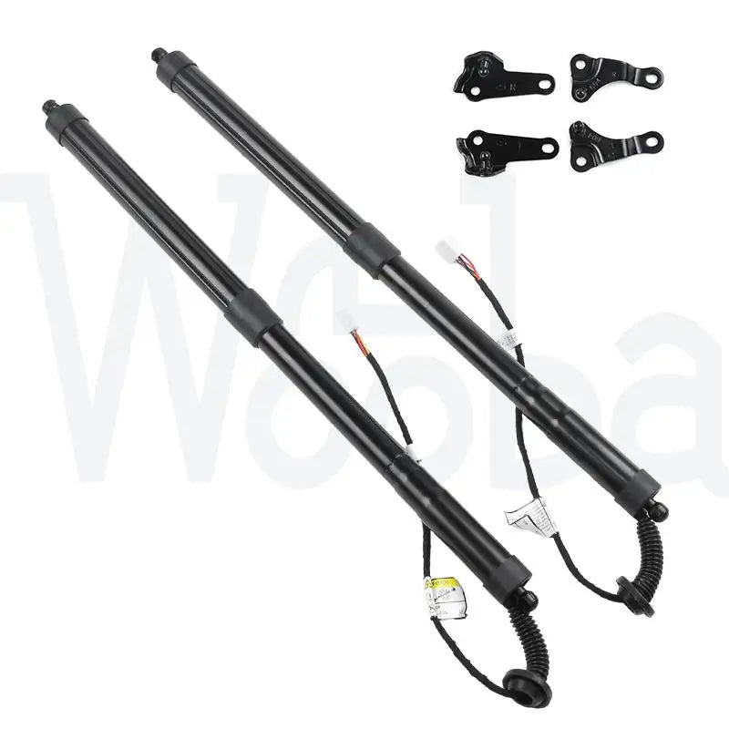 Wooba Tailgate Lift Strut Left Right 6891079016 6892079016 6892079015 6891079015 6892079017 for Lexus Nx300H Nx200T 4-Door L4