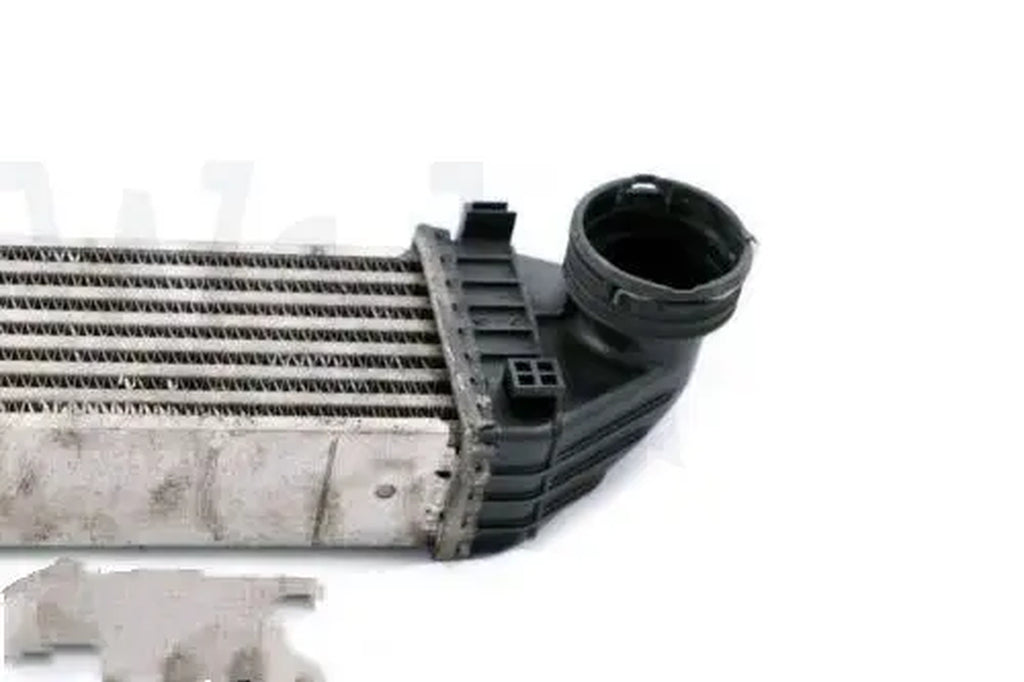 Wooba Mercedes-Benz a B W169 W245 Intercooler Air Charge Cooler Radiator A1695000000 a 169 500 00 00 A1695000900