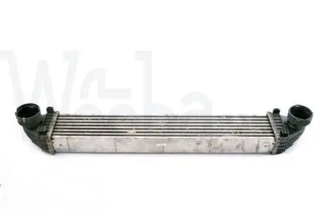 Wooba Mercedes-Benz a B W169 W245 Intercooler Air Charge Cooler Radiator A1695000000 a 169 500 00 00 A1695000900