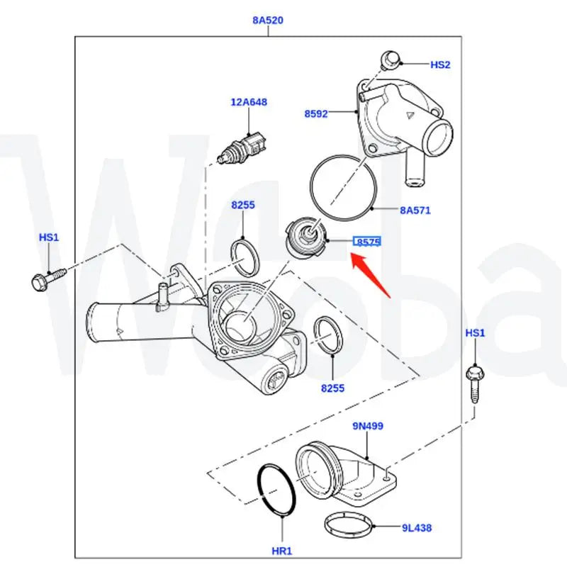 Wooba LR005765 PCP500050 AJ87696 Auto Thermostat and Hosing Assembly for LR3/4, Range Rover 02-09/10-12 Range Rover Sport 05-13