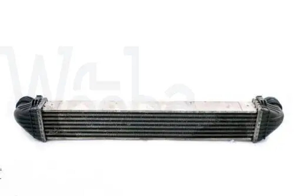 Wooba Mercedes-Benz a B W169 W245 Intercooler Air Charge Cooler Radiator A1695000000 a 169 500 00 00 A1695000900